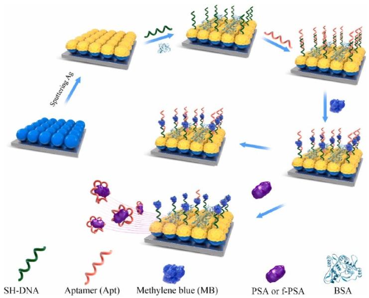 https://cdn.ncbi.nlm.nih.gov/pmc/blobs/8d54/10669140/a264b3c341e4/biosensors-13-00977-g006.jpg