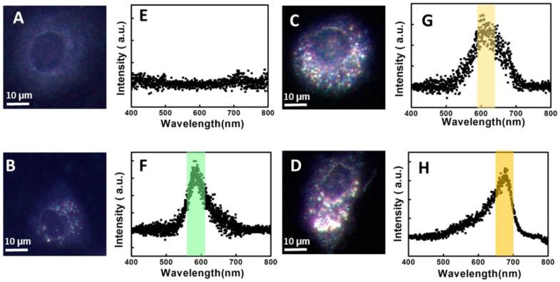 https://cdn.ncbi.nlm.nih.gov/pmc/blobs/8d54/10669140/c14f383c28f0/biosensors-13-00977-g010.jpg