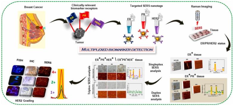 https://cdn.ncbi.nlm.nih.gov/pmc/blobs/8d54/10669140/e2810acae433/biosensors-13-00977-g008.jpg