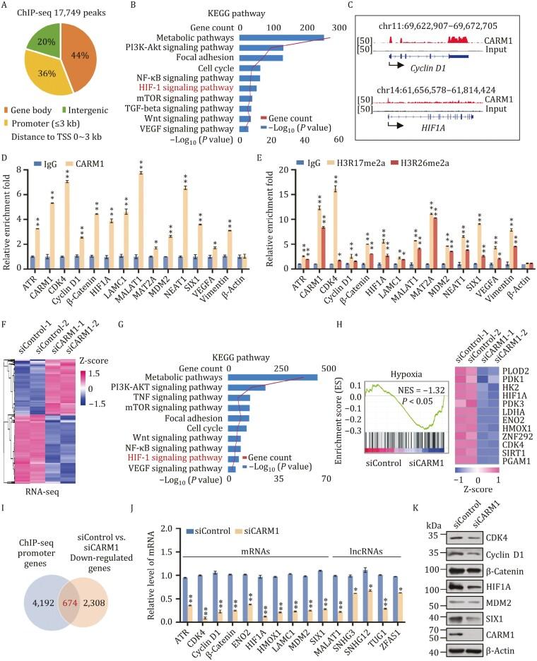 https://cdn.ncbi.nlm.nih.gov/pmc/blobs/8d54/11443453/60504cdb64a0/pwae010_fig3.jpg