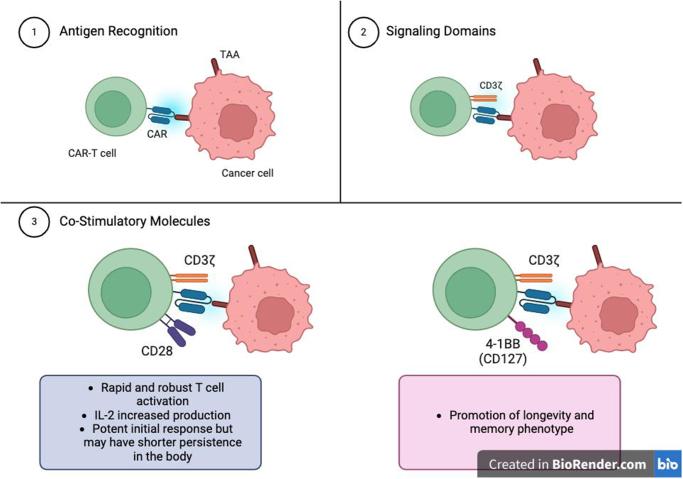 https://cdn.ncbi.nlm.nih.gov/pmc/blobs/8d56/12401244/6977dbb2e861/ms9-87-5743-g001.jpg