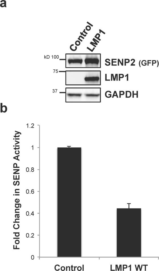 https://cdn.ncbi.nlm.nih.gov/pmc/blobs/8d56/6606635/7a62ff526330/41598_2019_45825_Fig3_HTML.jpg