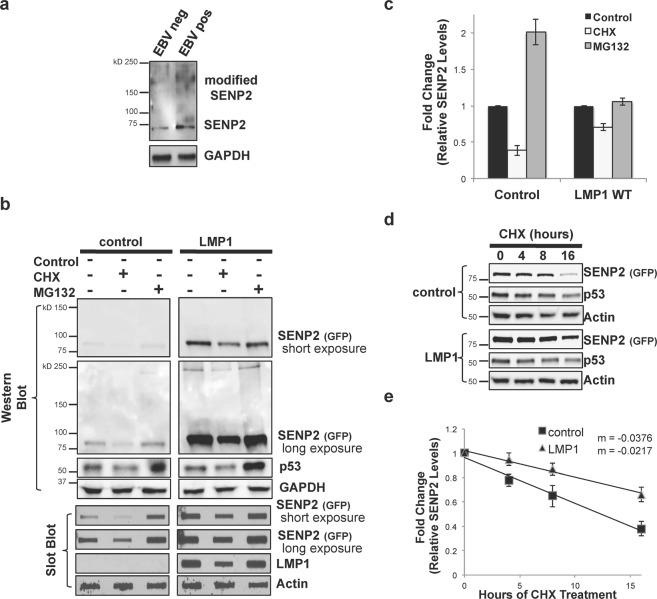 https://cdn.ncbi.nlm.nih.gov/pmc/blobs/8d56/6606635/b77487ea23a3/41598_2019_45825_Fig4_HTML.jpg