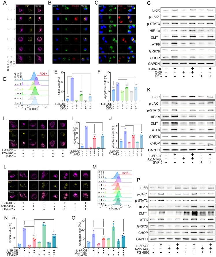 https://cdn.ncbi.nlm.nih.gov/pmc/blobs/8d57/11379073/f9af030270ec/ijbsv20p4222g003.jpg