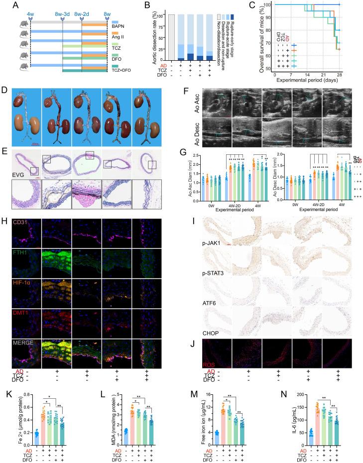 https://cdn.ncbi.nlm.nih.gov/pmc/blobs/8d57/11379073/fb5542c97404/ijbsv20p4222g006.jpg