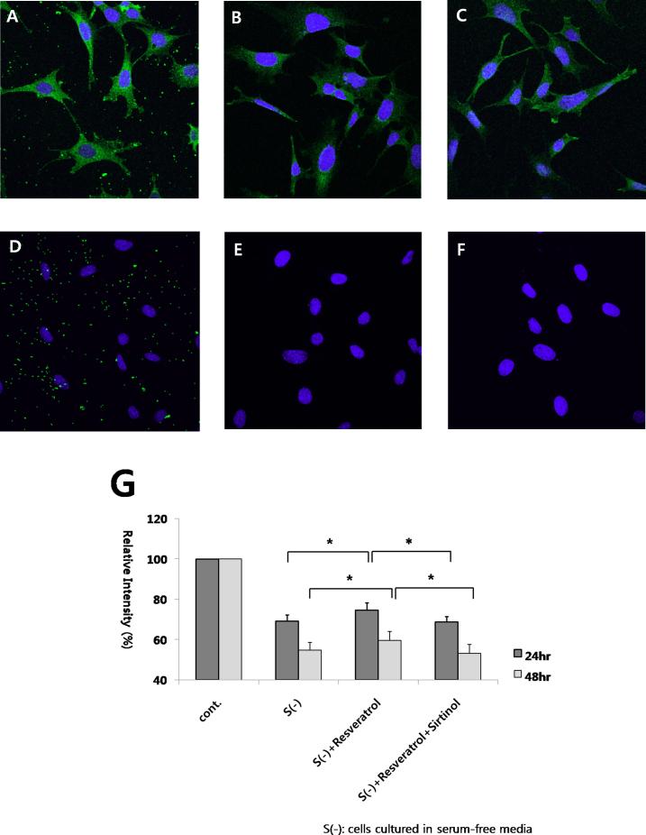 https://cdn.ncbi.nlm.nih.gov/pmc/blobs/8d57/3724955/b530bf90f50d/mv-v19-1667-f7.jpg