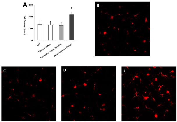 https://cdn.ncbi.nlm.nih.gov/pmc/blobs/8d57/3724955/be9795704b88/mv-v19-1667-f3.jpg