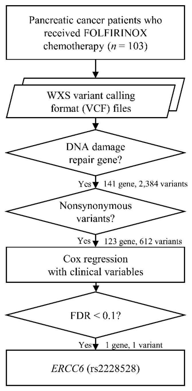 https://cdn.ncbi.nlm.nih.gov/pmc/blobs/8d58/7998301/555127d43fc6/cancers-13-01196-g002.jpg