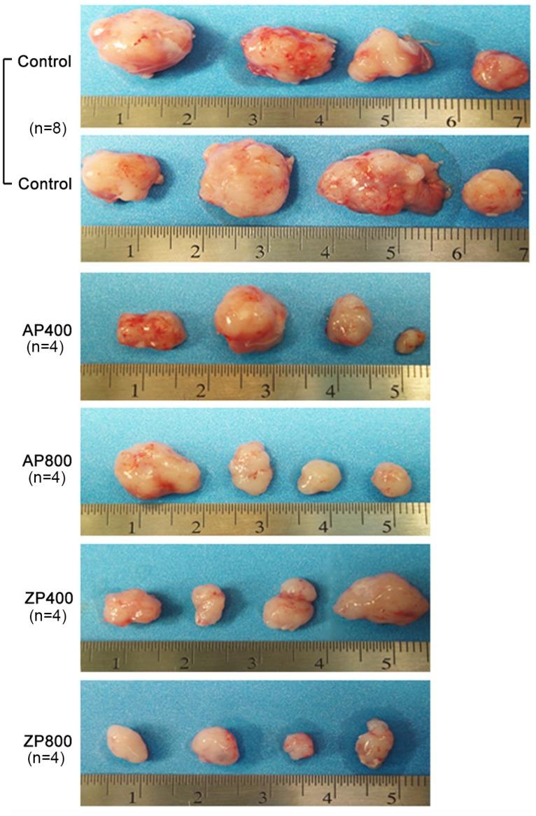 https://cdn.ncbi.nlm.nih.gov/pmc/blobs/8d59/4489501/6fd55ff75fa4/pone.0131008.g006.jpg