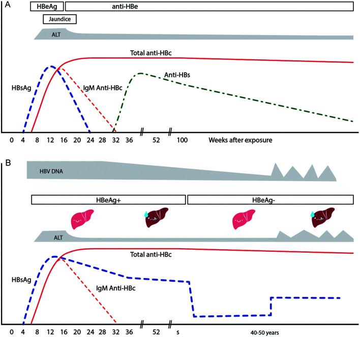 https://cdn.ncbi.nlm.nih.gov/pmc/blobs/8d5b/10318275/7685c710bca2/JCTH-11-967-g001.jpg
