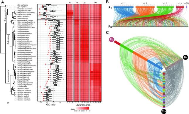 https://cdn.ncbi.nlm.nih.gov/pmc/blobs/8d5b/8982440/a777ddc3268f/lqac029fig2.jpg