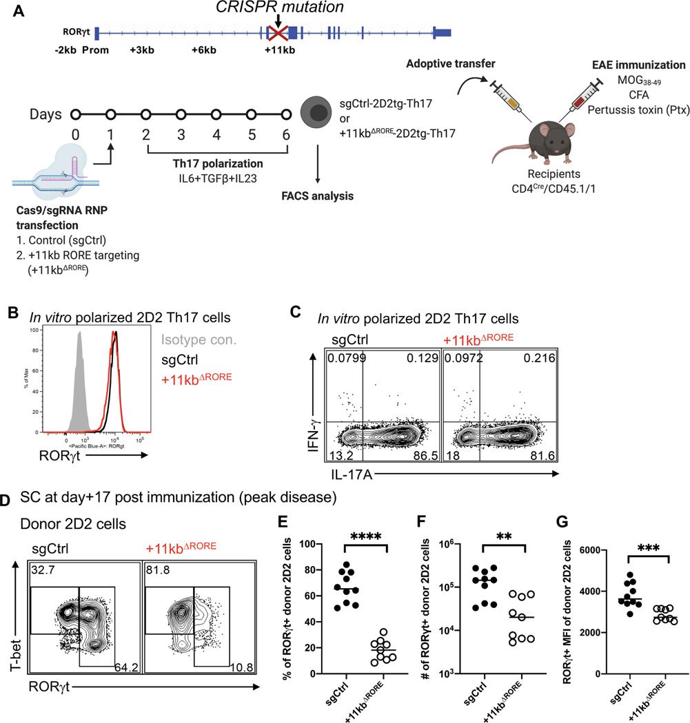 https://cdn.ncbi.nlm.nih.gov/pmc/blobs/8d5c/9757081/ec9913476916/nihms-1843752-f0006.jpg