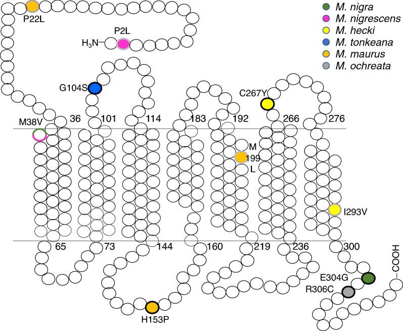 https://cdn.ncbi.nlm.nih.gov/pmc/blobs/8d60/9085793/f281db99fd81/41598_2022_11681_Fig3_HTML.jpg