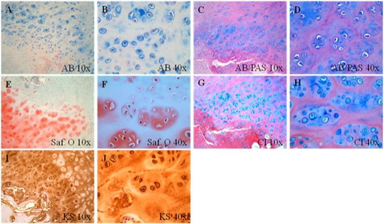https://cdn.ncbi.nlm.nih.gov/pmc/blobs/8d62/4863258/375afabfc333/gr8.jpg