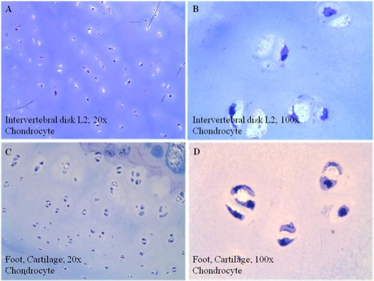 https://cdn.ncbi.nlm.nih.gov/pmc/blobs/8d62/4863258/5850c1f42313/gr9.jpg