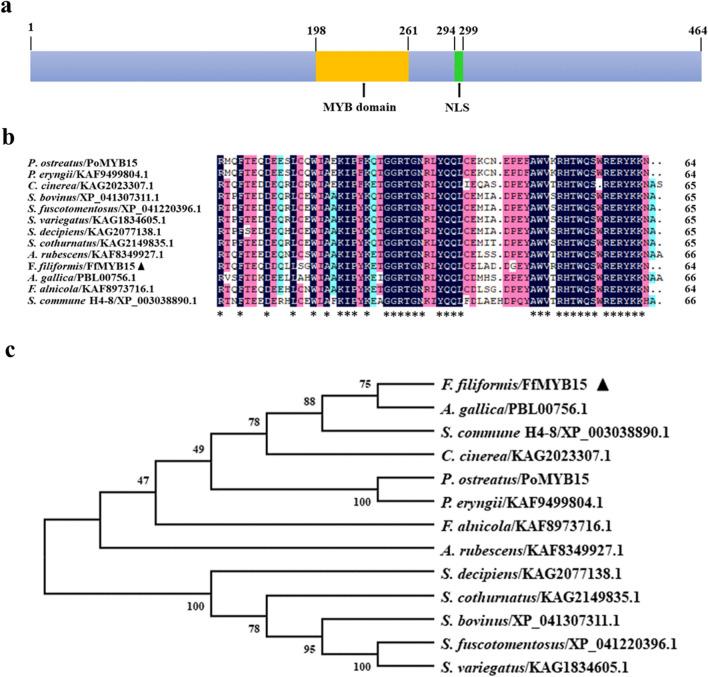 https://cdn.ncbi.nlm.nih.gov/pmc/blobs/8d62/9578197/09ee8ad01864/12934_2022_1932_Fig4_HTML.jpg