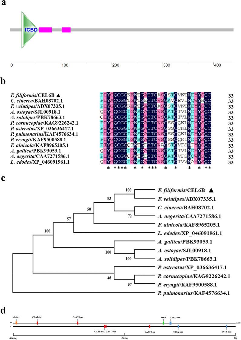 https://cdn.ncbi.nlm.nih.gov/pmc/blobs/8d62/9578197/8db6177b05ea/12934_2022_1932_Fig2_HTML.jpg