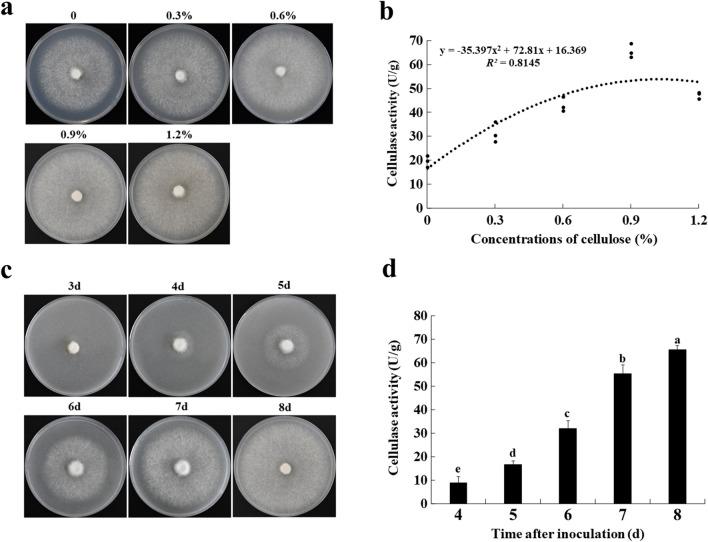 https://cdn.ncbi.nlm.nih.gov/pmc/blobs/8d62/9578197/c42cb36233dd/12934_2022_1932_Fig1_HTML.jpg