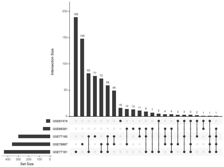 https://cdn.ncbi.nlm.nih.gov/pmc/blobs/8d64/11353516/ca5974d00e36/genes-15-01030-g001.jpg