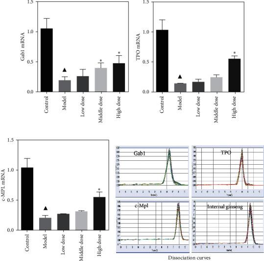 https://cdn.ncbi.nlm.nih.gov/pmc/blobs/8d64/8075679/86f79db41396/ECAM2021-7634673.004.jpg