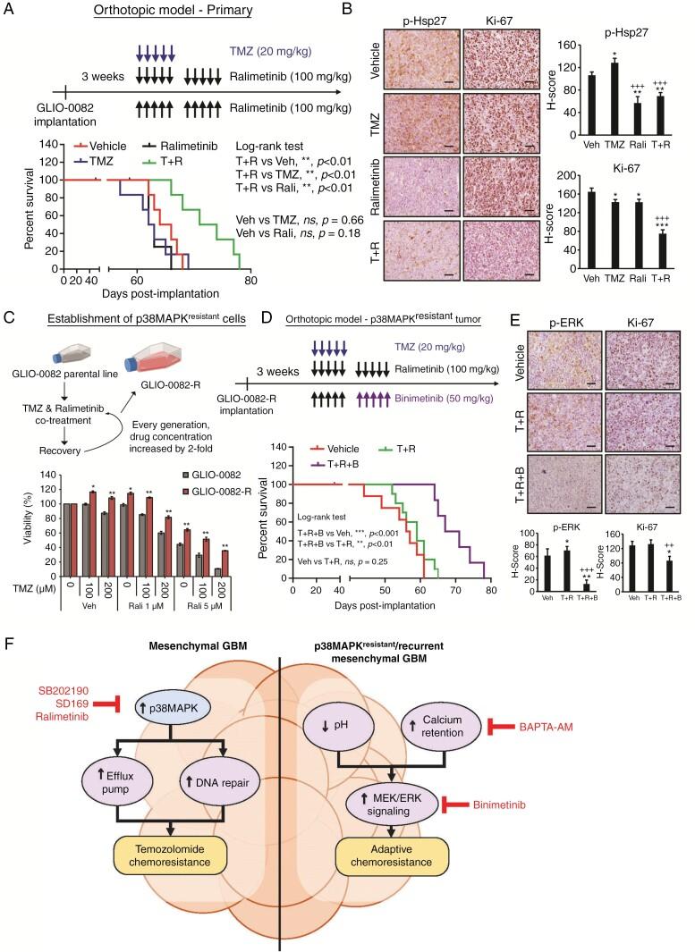https://cdn.ncbi.nlm.nih.gov/pmc/blobs/8d65/11226874/615321972a39/noae028_fig5.jpg