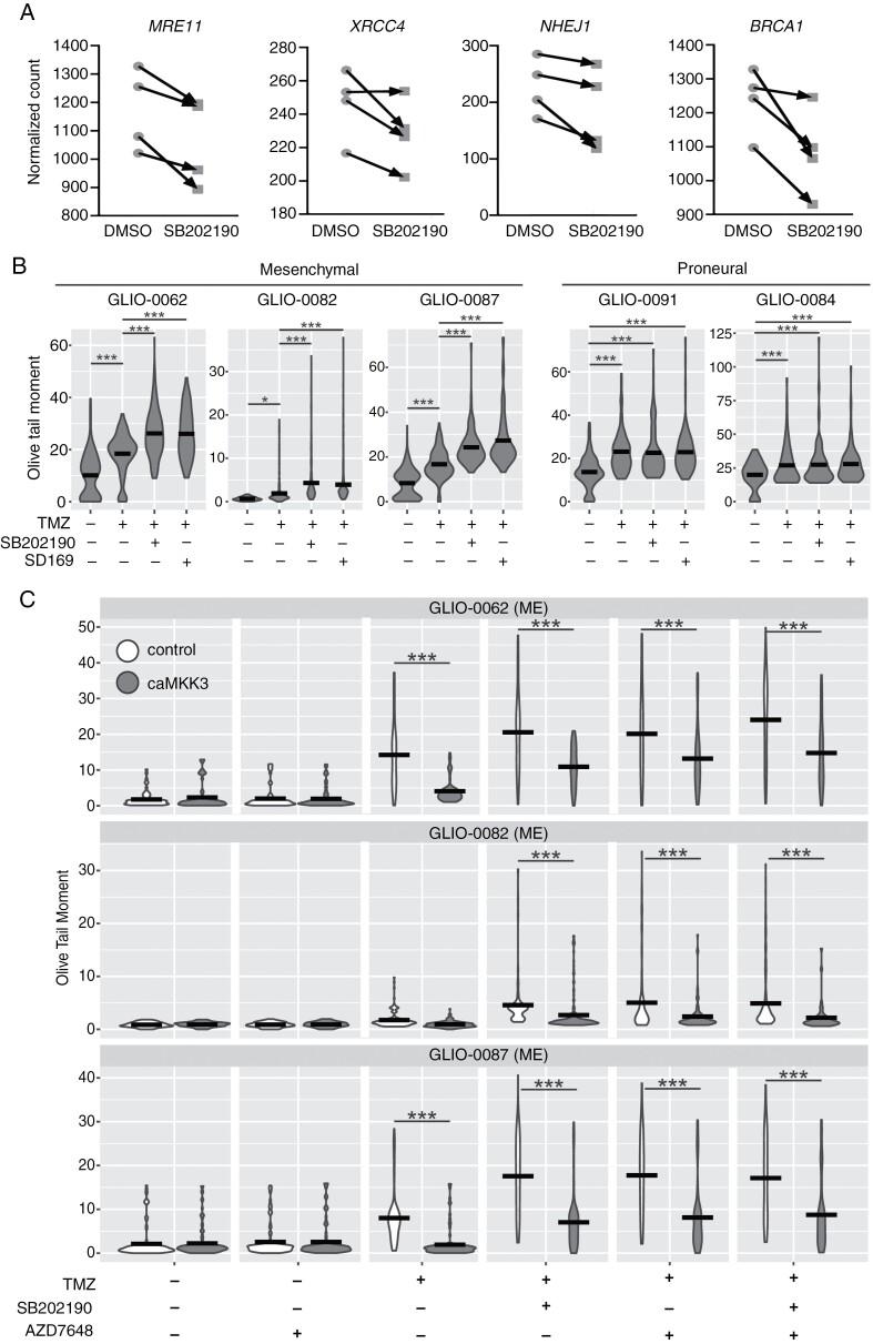 https://cdn.ncbi.nlm.nih.gov/pmc/blobs/8d65/11226874/dc4faee4a9ad/noae028_fig3.jpg