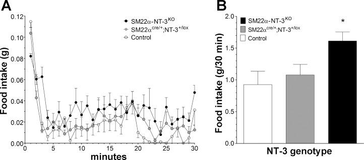 https://cdn.ncbi.nlm.nih.gov/pmc/blobs/8d65/3882559/1686833ea676/zh60221383480007.jpg