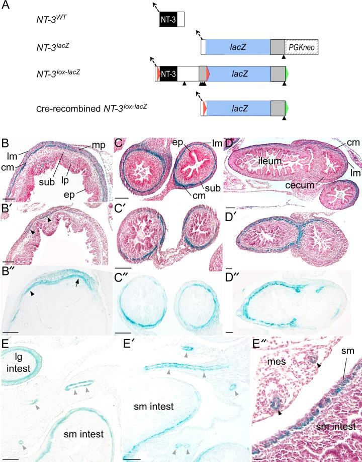 https://cdn.ncbi.nlm.nih.gov/pmc/blobs/8d65/3882559/2741b03ab095/zh60221383480001.jpg