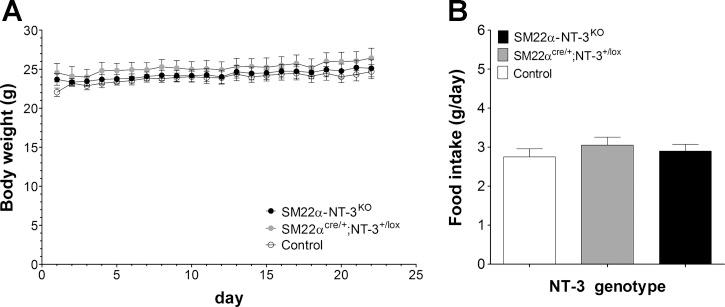 https://cdn.ncbi.nlm.nih.gov/pmc/blobs/8d65/3882559/4d944e2f0358/zh60221383480005.jpg