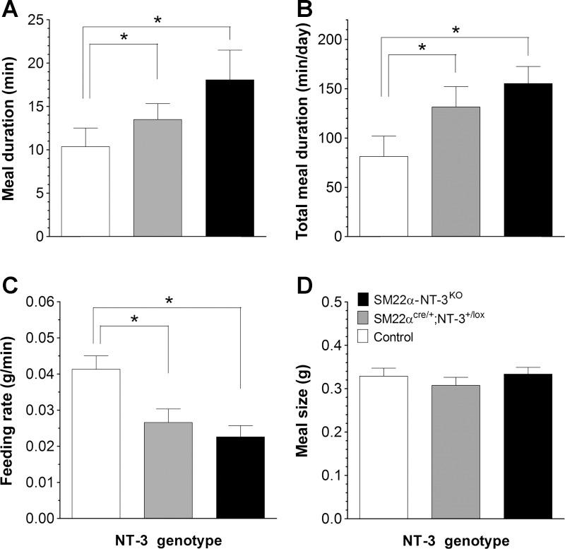 https://cdn.ncbi.nlm.nih.gov/pmc/blobs/8d65/3882559/ded1c76cf94a/zh60221383480006.jpg
