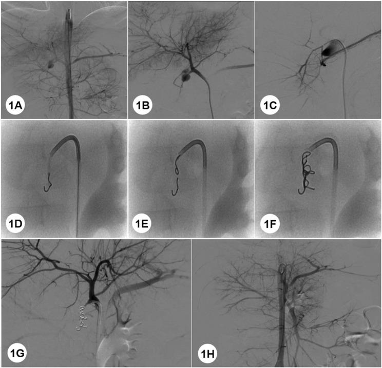https://cdn.ncbi.nlm.nih.gov/pmc/blobs/8d69/12008960/dfc7b1872044/12893_2025_2908_Fig1_HTML.jpg
