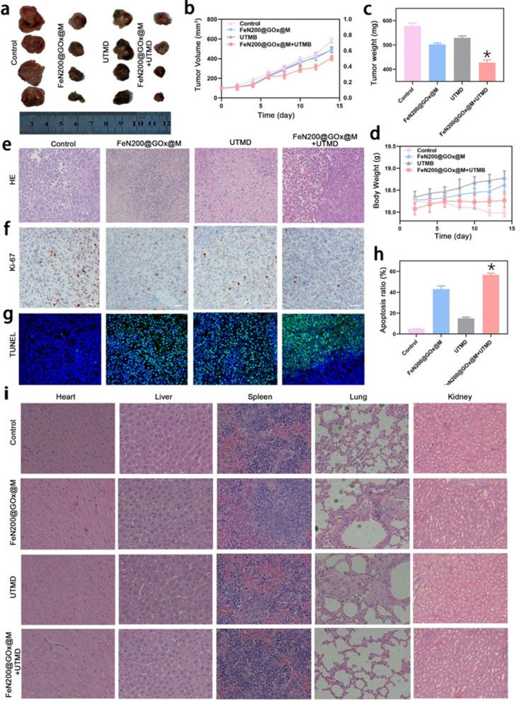 https://cdn.ncbi.nlm.nih.gov/pmc/blobs/8d6b/8011114/e172faa8d81d/12951_2021_835_Fig5_HTML.jpg