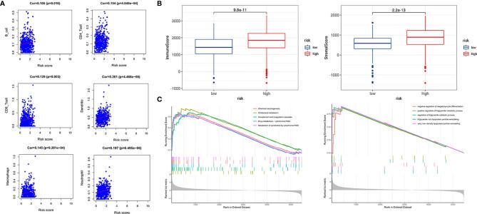 https://cdn.ncbi.nlm.nih.gov/pmc/blobs/8d6d/8353455/061ca0888b8e/fonc-11-713346-g008.jpg