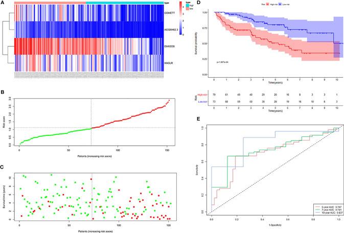 https://cdn.ncbi.nlm.nih.gov/pmc/blobs/8d6d/8353455/496ed5d1987a/fonc-11-713346-g004.jpg