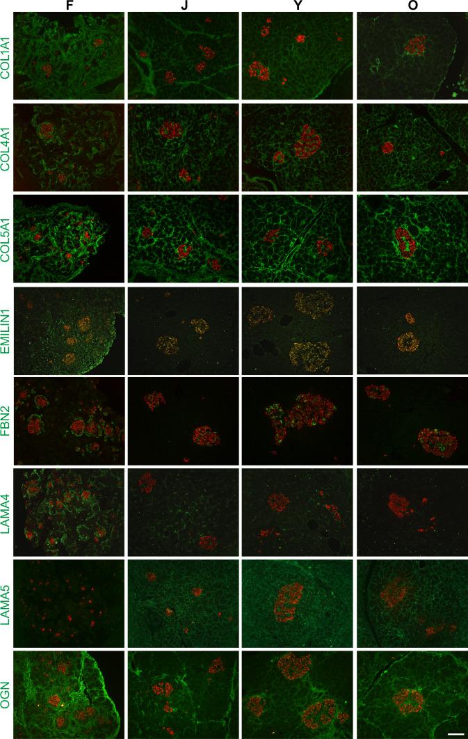 https://cdn.ncbi.nlm.nih.gov/pmc/blobs/8d6e/7884717/bec8752a665b/41467_2021_21261_Fig4_HTML.jpg