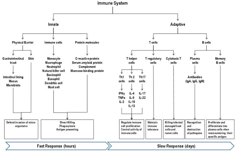 https://cdn.ncbi.nlm.nih.gov/pmc/blobs/8d6f/8063794/6114005a48d5/nutrients-13-01048-g001.jpg