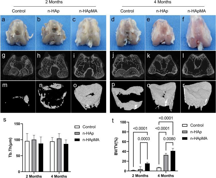 https://cdn.ncbi.nlm.nih.gov/pmc/blobs/8d71/10599329/68167fa03b19/IJN-18-5907-g0005.jpg