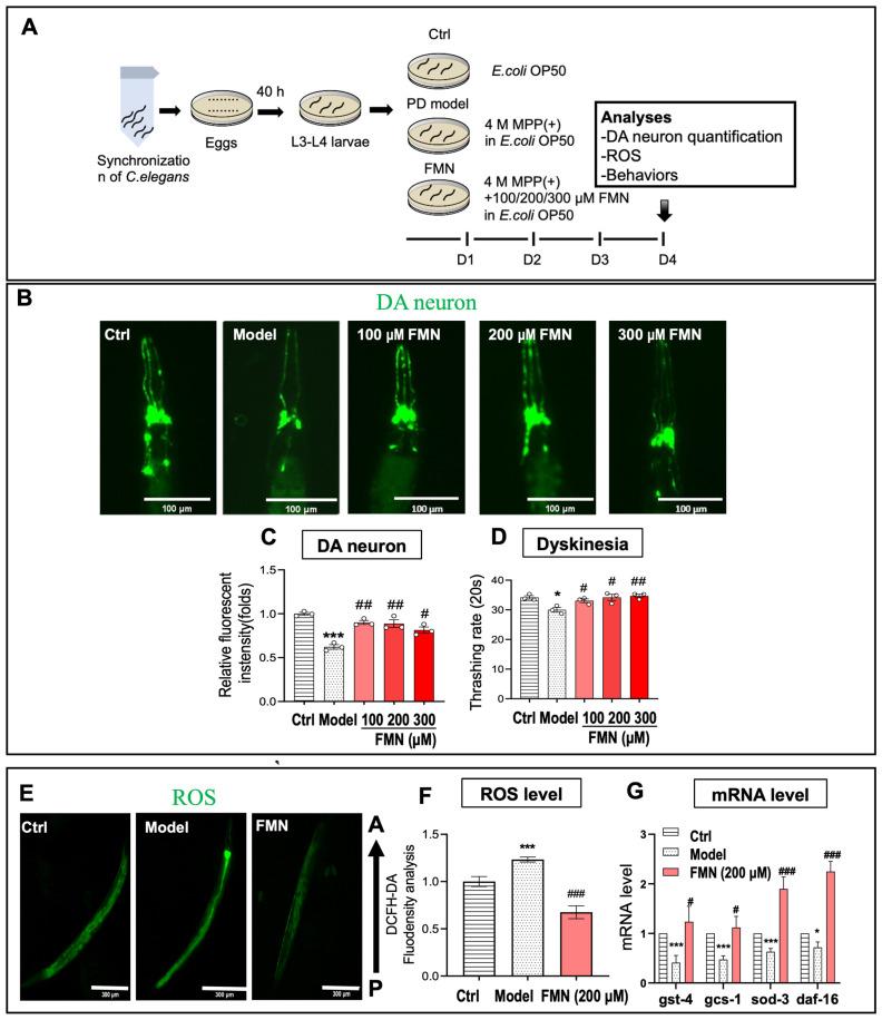 https://cdn.ncbi.nlm.nih.gov/pmc/blobs/8d71/11596823/c2c5775bd610/molecules-29-05364-g002.jpg