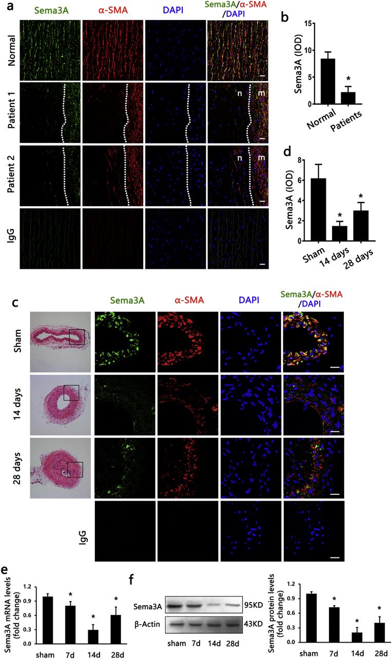 https://cdn.ncbi.nlm.nih.gov/pmc/blobs/8d72/6355729/f26ed7352761/gr1.jpg