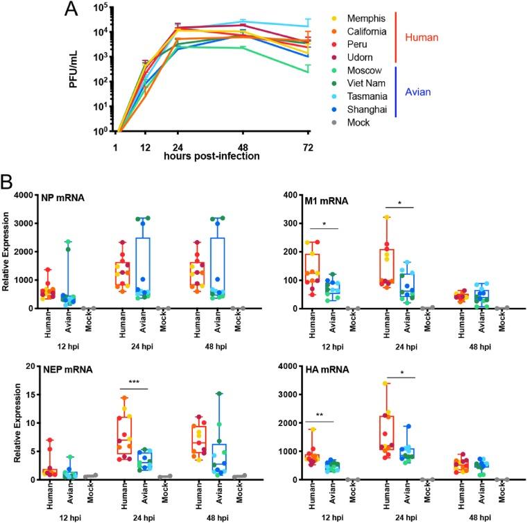 https://cdn.ncbi.nlm.nih.gov/pmc/blobs/8d72/6912104/0b995f829c3a/JVI.00999-19-f0007.jpg