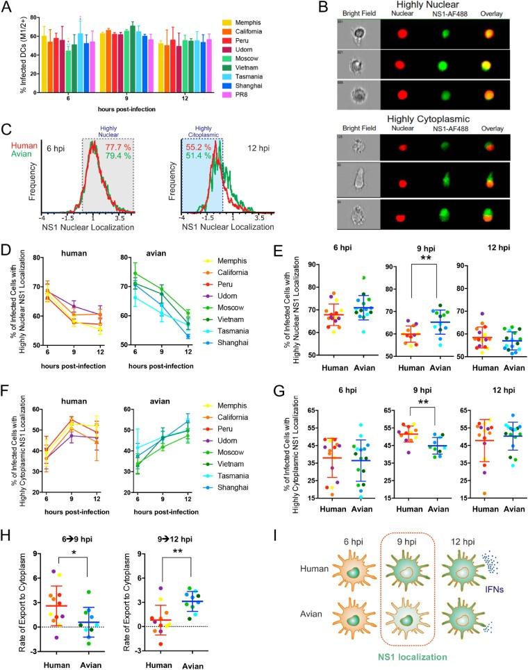 https://cdn.ncbi.nlm.nih.gov/pmc/blobs/8d72/6912104/0f99531849d2/JVI.00999-19-f0009.jpg