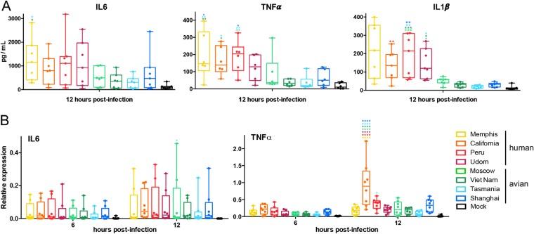 https://cdn.ncbi.nlm.nih.gov/pmc/blobs/8d72/6912104/440b51651632/JVI.00999-19-f0003.jpg