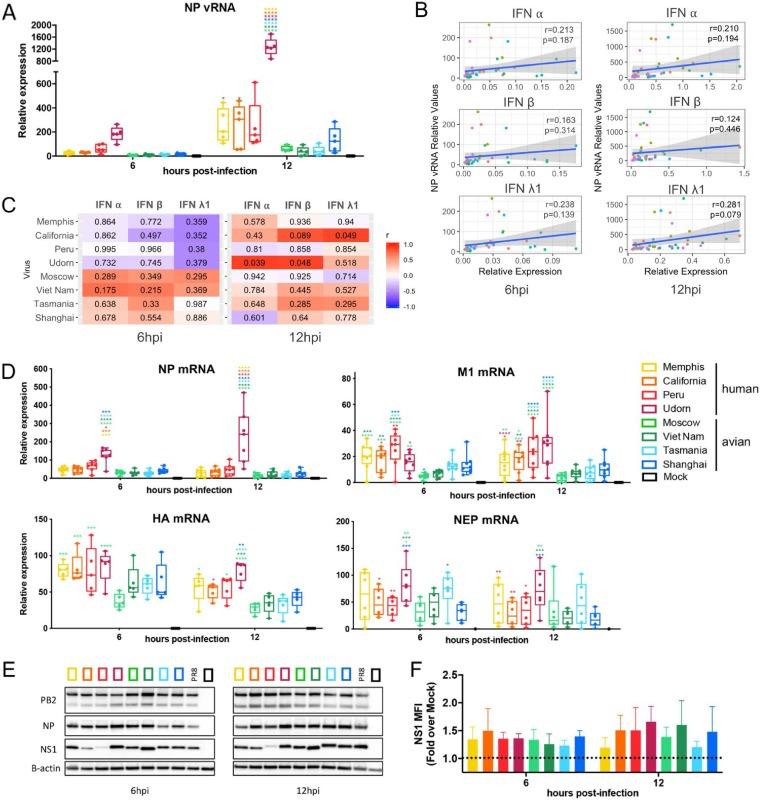 https://cdn.ncbi.nlm.nih.gov/pmc/blobs/8d72/6912104/8e5054e3be64/JVI.00999-19-f0004.jpg