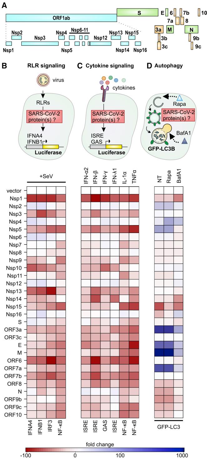 https://cdn.ncbi.nlm.nih.gov/pmc/blobs/8d72/8135129/397a7ff15960/gr1.jpg