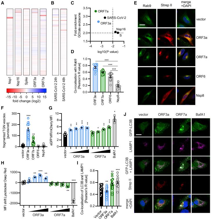 https://cdn.ncbi.nlm.nih.gov/pmc/blobs/8d72/8135129/644343f75690/gr4.jpg