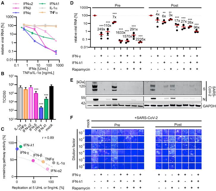 https://cdn.ncbi.nlm.nih.gov/pmc/blobs/8d72/8135129/d318f3177c1a/gr6.jpg