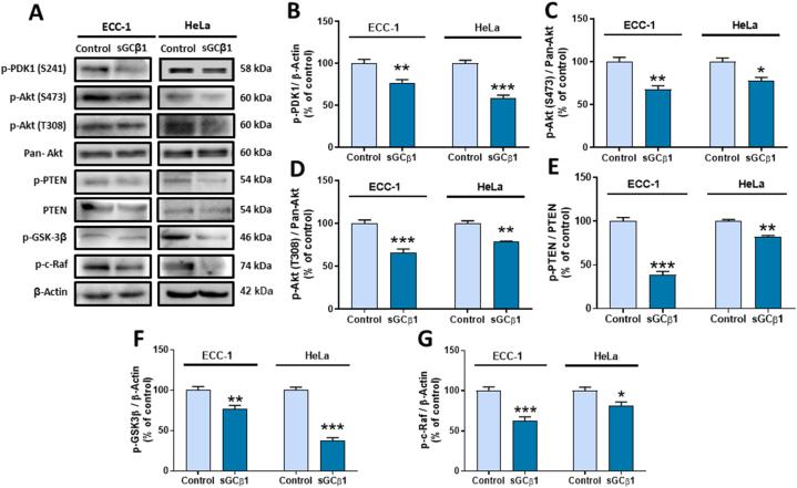 https://cdn.ncbi.nlm.nih.gov/pmc/blobs/8d74/10777080/596431cd94ec/gr5.jpg