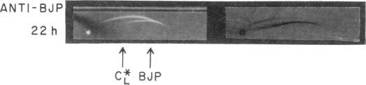 https://cdn.ncbi.nlm.nih.gov/pmc/blobs/8d74/301786/37b8e4aa6621/jcinvest00167-0160-a.jpg