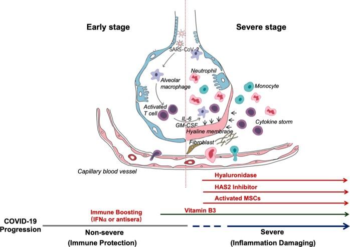 https://cdn.ncbi.nlm.nih.gov/pmc/blobs/8d75/7206182/b91ff362b70a/41418_2020_530_Fig1_HTML.jpg