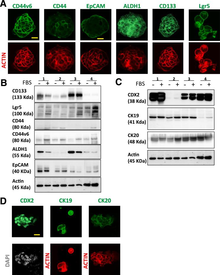 https://cdn.ncbi.nlm.nih.gov/pmc/blobs/8d77/10520365/35b0d4bd7471/gr3.jpg